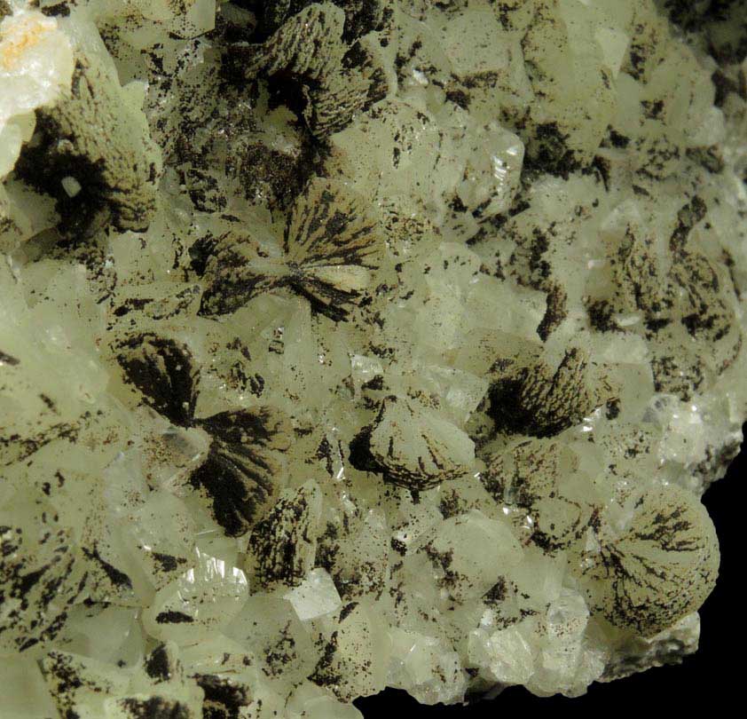 Prehnite, Datolite, Calcite, Petroleum (naturally occurring Hydrocarbons) from Millington Quarry, Bernards Township, Somerset County, New Jersey