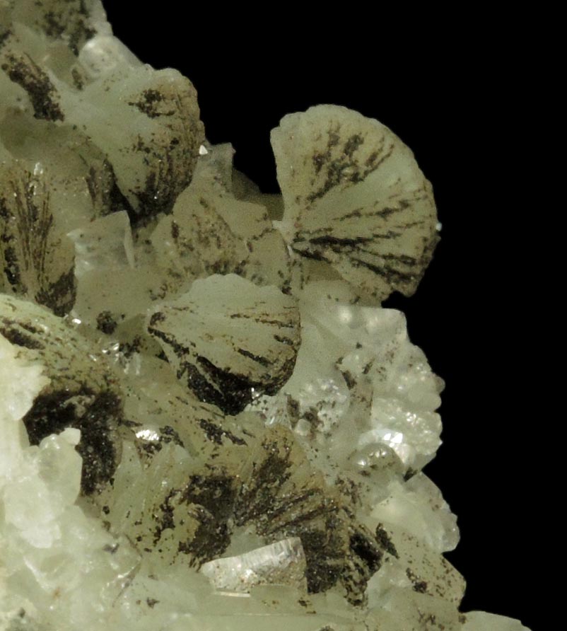 Prehnite, Datolite, Calcite, Petroleum (naturally occurring Hydrocarbons) from Millington Quarry, Bernards Township, Somerset County, New Jersey