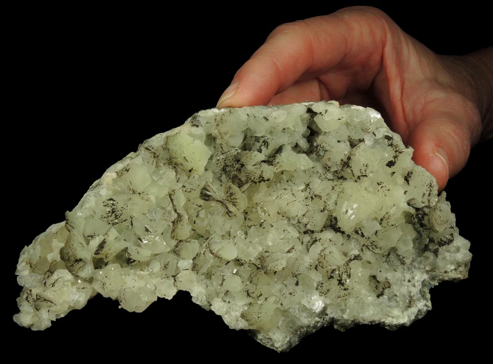 Prehnite, Datolite, Calcite, Petroleum (naturally occurring Hydrocarbons) from Millington Quarry, Bernards Township, Somerset County, New Jersey