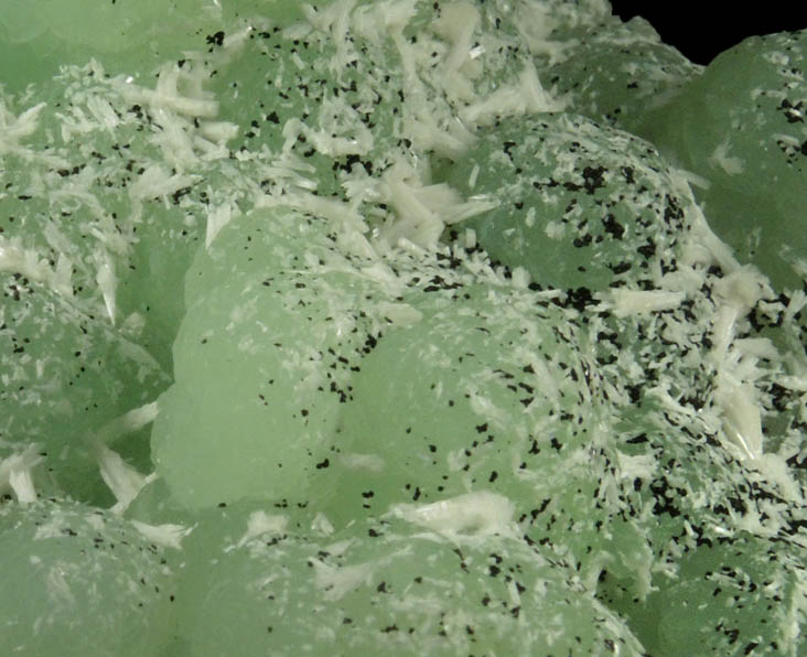 Prehnite pseudomorphs after Anhydrite with Chamosite and Laumontite from Upper New Street Quarry, Paterson, Passaic County, New Jersey