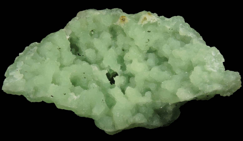 Prehnite pseudomorphs after Anhydrite with Chamosite and Laumontite from Upper New Street Quarry, Paterson, Passaic County, New Jersey