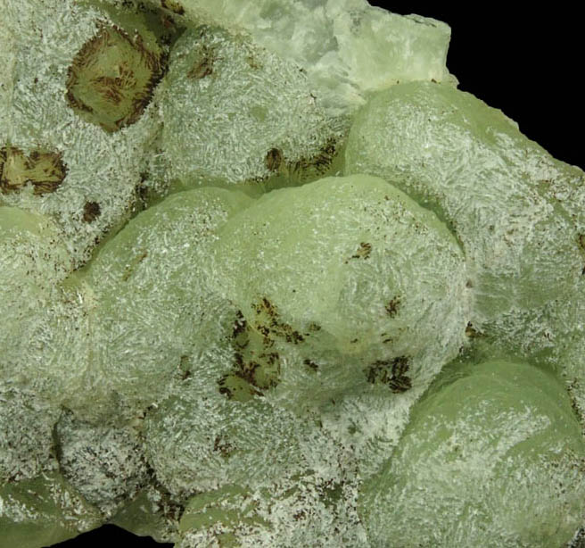 Prehnite pseudomorphs after Anhydrite with Stilpnomelane and Laumontite from Upper New Street Quarry, Paterson, Passaic County, New Jersey