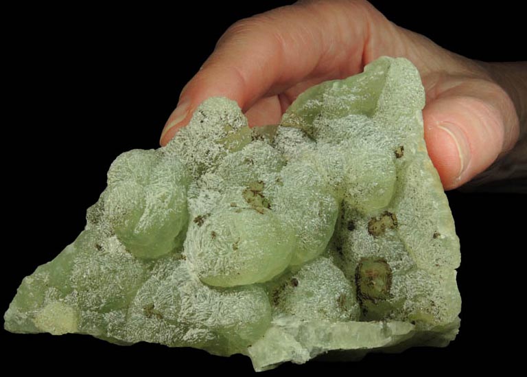 Prehnite pseudomorphs after Anhydrite with Stilpnomelane and Laumontite from Upper New Street Quarry, Paterson, Passaic County, New Jersey