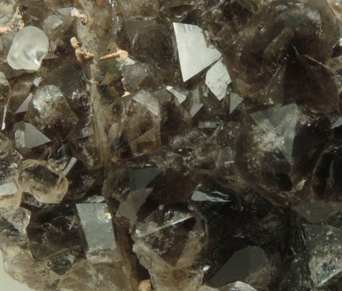 Quartz var. Smoky Quartz with Calcite and pseudomorphic mold after Anhydrite from Upper New Street Quarry, Paterson, Passaic County, New Jersey