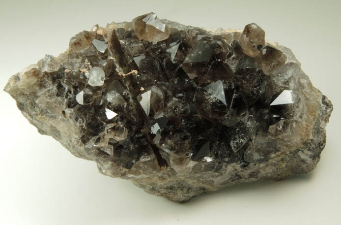 Quartz var. Smoky Quartz with Calcite and pseudomorphic mold after Anhydrite from Upper New Street Quarry, Paterson, Passaic County, New Jersey