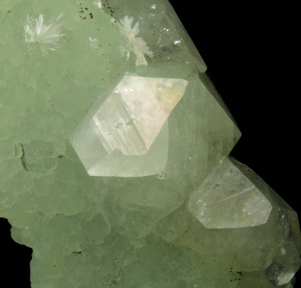 Apophyllite and Laumontite on Prehnite pseudomorph after Anhydrite from Upper New Street Quarry, Paterson, Passaic County, New Jersey