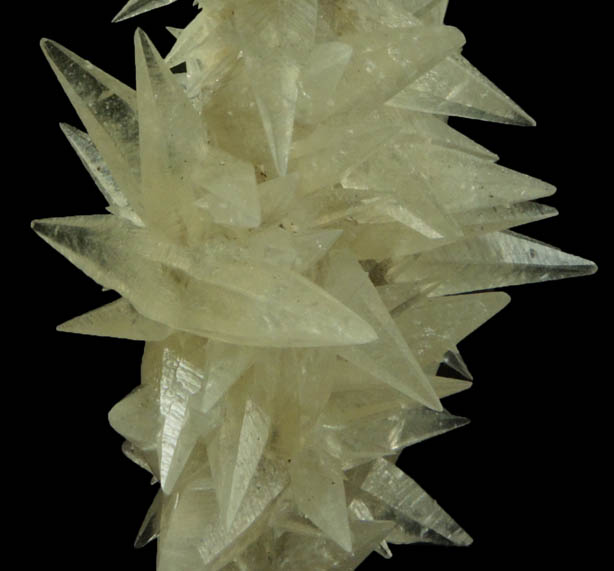 Calcite on Datolite from Millington Quarry, Bernards Township, Somerset County, New Jersey