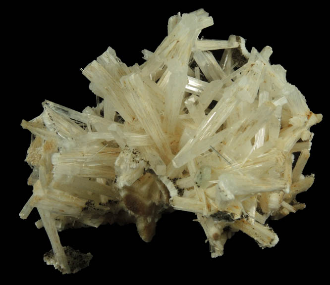 Natrolite over Pectolite from Millington Quarry, Bernards Township, Somerset County, New Jersey