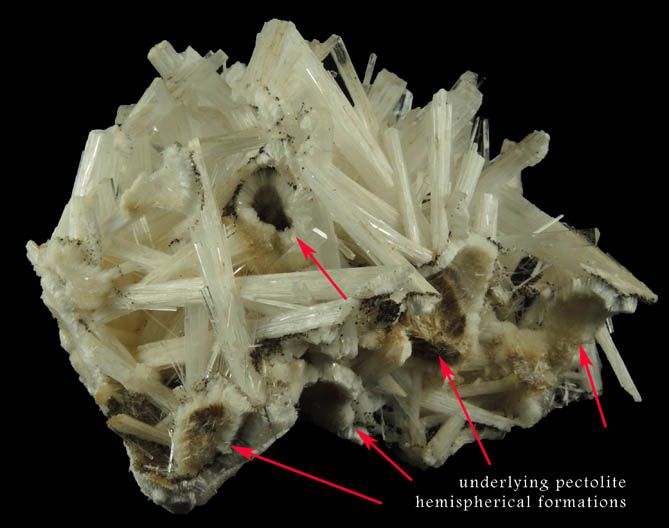 Natrolite over Pectolite from Millington Quarry, Bernards Township, Somerset County, New Jersey