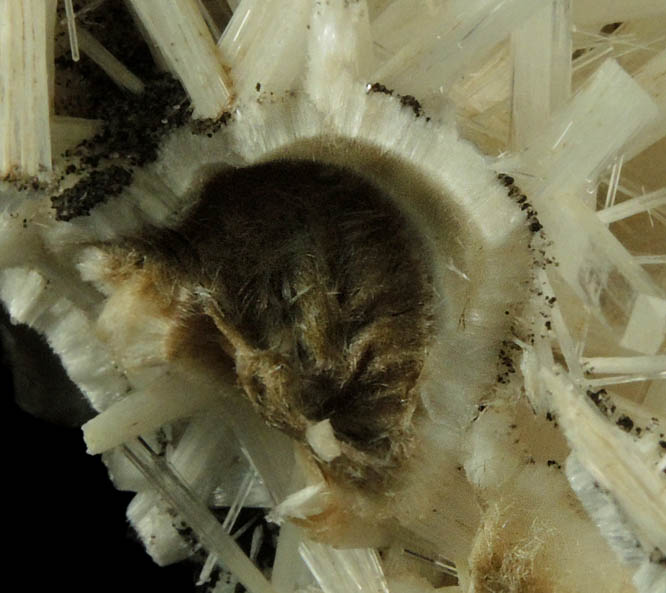 Natrolite over Pectolite from Millington Quarry, Bernards Township, Somerset County, New Jersey