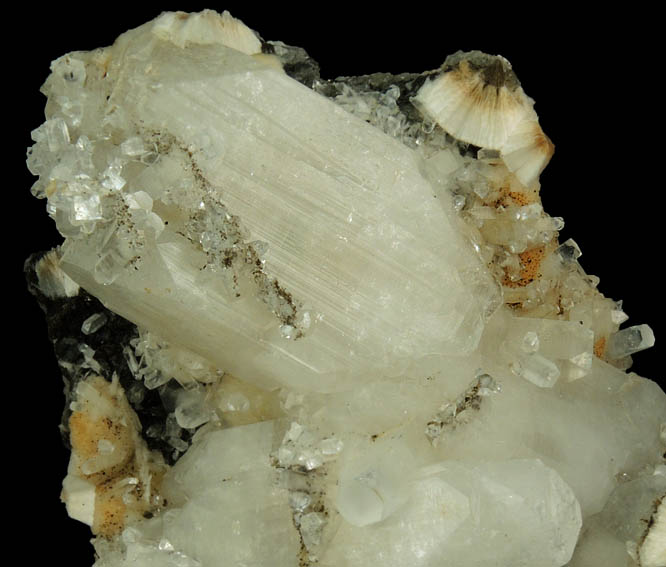 Apophyllite on Pectolite from Millington Quarry, Bernards Township, Somerset County, New Jersey