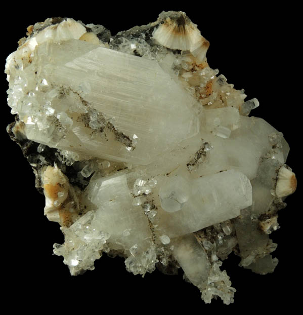 Apophyllite on Pectolite from Millington Quarry, Bernards Township, Somerset County, New Jersey