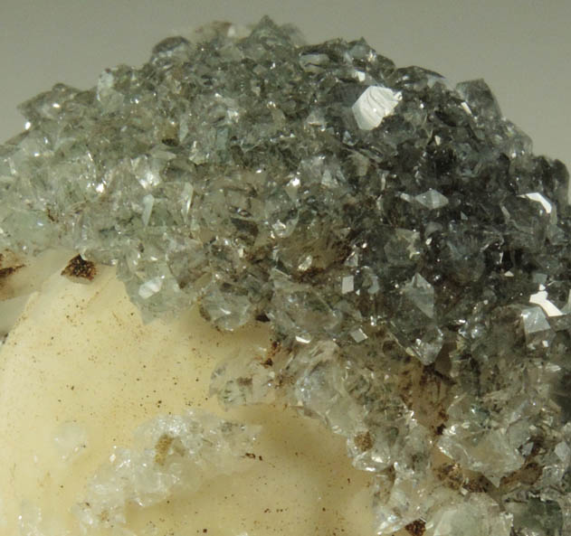 Apophyllite, Pectolite, Natrolite, Chlorite from Millington Quarry, Bernards Township, Somerset County, New Jersey