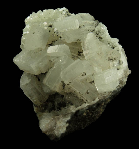 Apophyllite on Datolite with Chamosite from Millington Quarry, Bernards Township, Somerset County, New Jersey