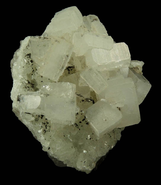 Apophyllite on Datolite with Chamosite from Millington Quarry, Bernards Township, Somerset County, New Jersey