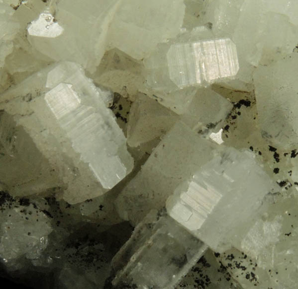 Apophyllite on Datolite with Chamosite from Millington Quarry, Bernards Township, Somerset County, New Jersey