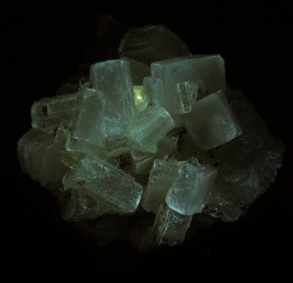 Apophyllite on Datolite with Chamosite from Millington Quarry, Bernards Township, Somerset County, New Jersey