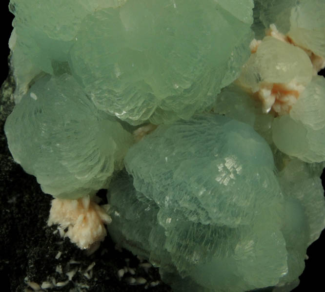 Prehnite with Albite and Chlorite from Millington Quarry, Bernards Township, Somerset County, New Jersey