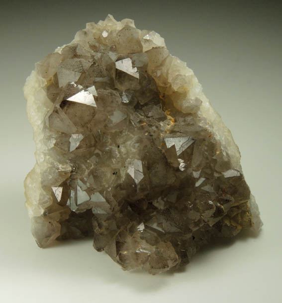 Quartz var. Smoky Quartz from Millington Quarry, Bernards Township, Somerset County, New Jersey