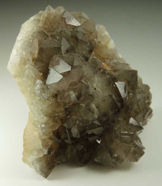 Quartz var. Smoky Quartz from Millington Quarry, Bernards Township, Somerset County, New Jersey