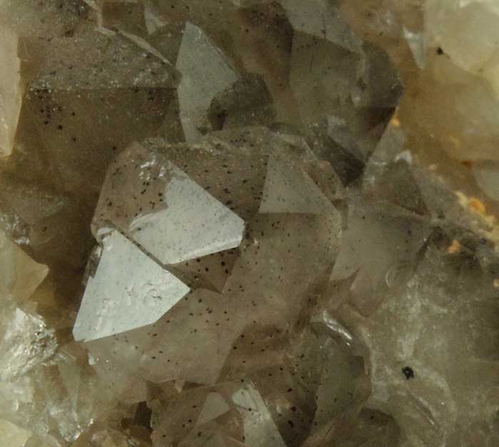 Quartz var. Smoky Quartz from Millington Quarry, Bernards Township, Somerset County, New Jersey