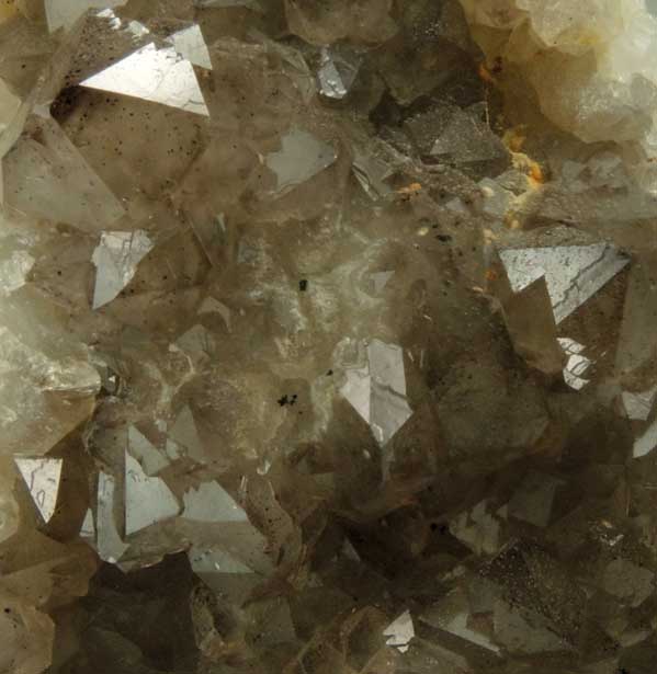 Quartz var. Smoky Quartz from Millington Quarry, Bernards Township, Somerset County, New Jersey