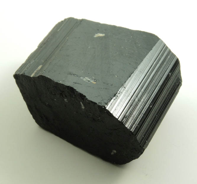 Schorl Tourmaline from Bald Mountain road cut, 9200' elevation, north of Idaho Springs, Clear Creek County, Colorado