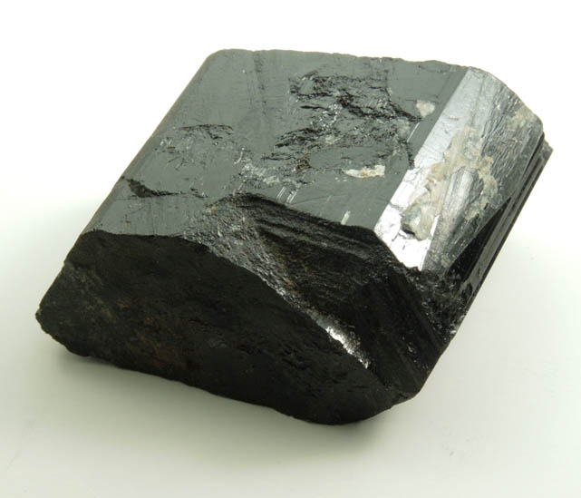 Schorl Tourmaline from Bald Mountain road cut, 9200' elevation, north of Idaho Springs, Clear Creek County, Colorado