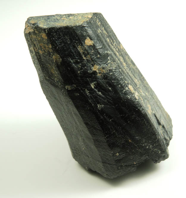 Schorl Tourmaline from Bald Mountain road cut, 9200' elevation, north of Idaho Springs, Clear Creek County, Colorado