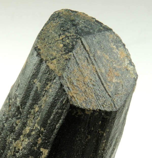 Schorl Tourmaline from Bald Mountain road cut, 9200' elevation, north of Idaho Springs, Clear Creek County, Colorado