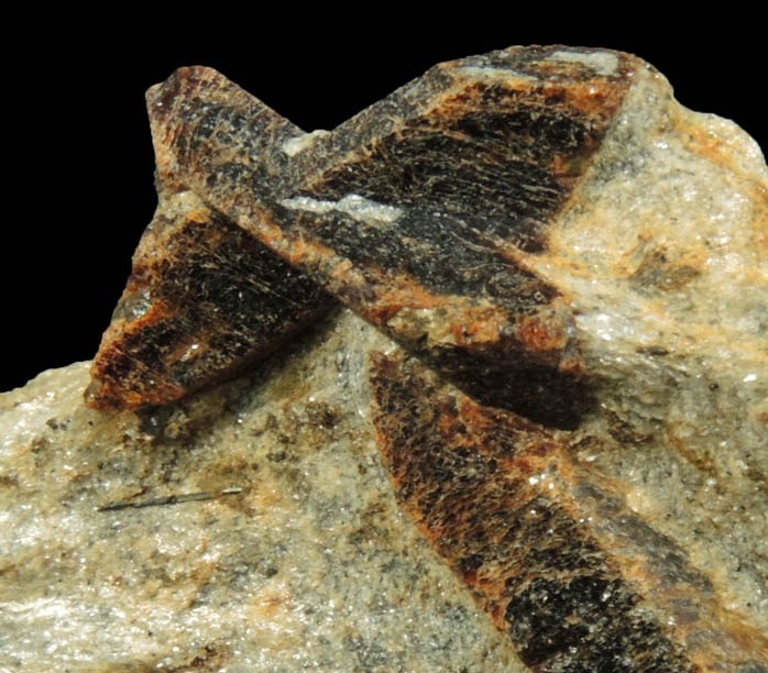 Staurolite from Green's Farm, 750 m. ESE of Roxbury Falls, Roxbury, New Haven County, Connecticut