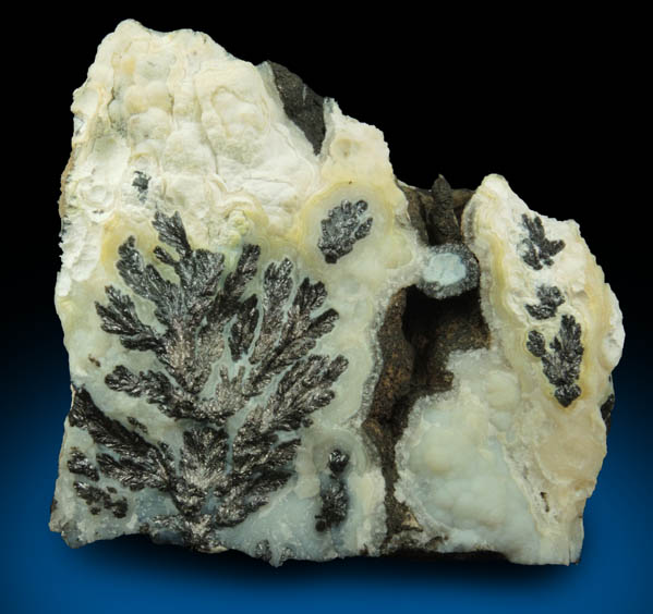 Manganese Oxide Dendrites in Quartz var. Chalcedony (Dendritic Agate) from Chihuahua, Mexico