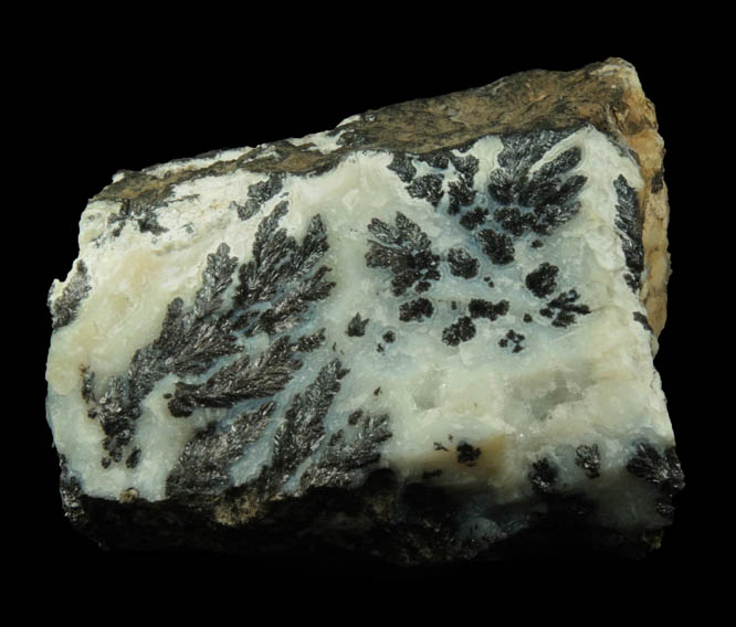 Manganese Oxide Dendrites in Quartz var. Chalcedony (Dendritic Agate) from Chihuahua, Mexico