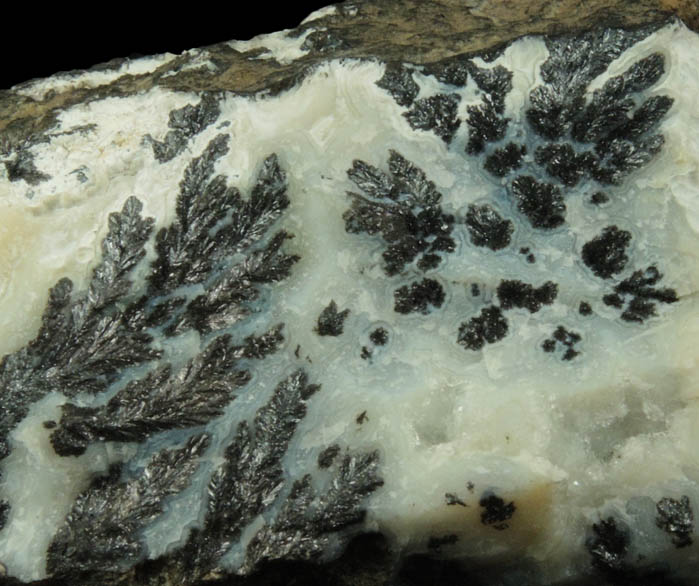 Manganese Oxide Dendrites in Quartz var. Chalcedony (Dendritic Agate) from Chihuahua, Mexico