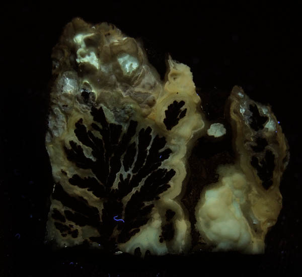 Manganese Oxide Dendrites in Quartz var. Chalcedony (Dendritic Agate) from Chihuahua, Mexico