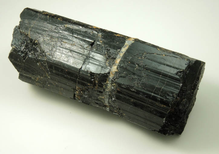 Schorl Tourmaline from Bald Mountain road cut, 9200' elevation, north of Idaho Springs, Clear Creek County, Colorado