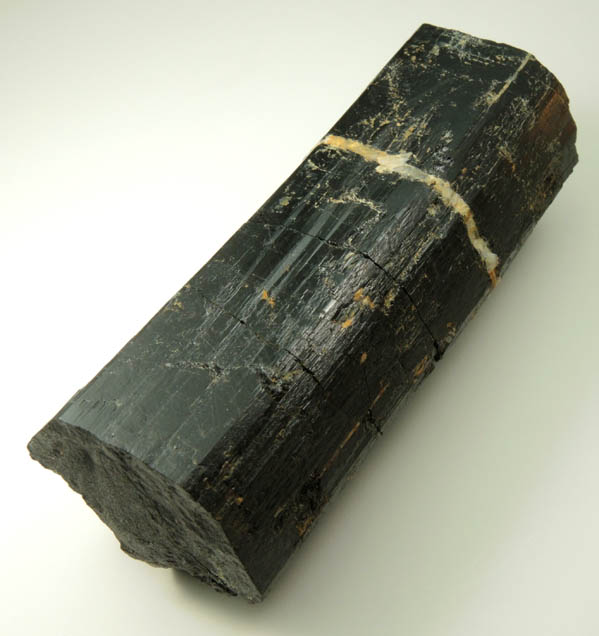 Schorl Tourmaline from Bald Mountain road cut, 9200' elevation, north of Idaho Springs, Clear Creek County, Colorado