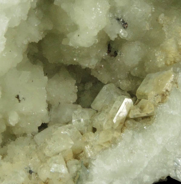 Datolite with Apophyllite and minor Pyrite from Millington Quarry, Bernards Township, Somerset County, New Jersey