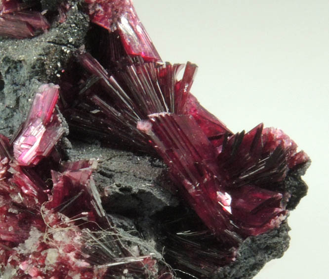 Erythrite from Bou Azzer District, Dra-Tafilalet Region, Morocco (Type Locality for Erythrite)