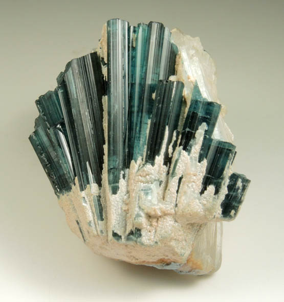 Elbaite var. Indicolite Tourmaline in Albite var. Cleavelandite from Paprok, Kamdesh District, Nuristan Province, Afghanistan