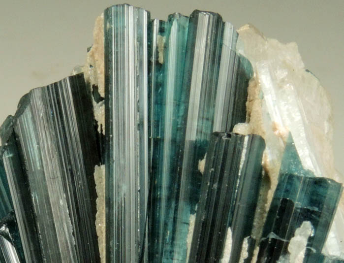 Elbaite var. Indicolite Tourmaline in Albite var. Cleavelandite from Paprok, Kamdesh District, Nuristan Province, Afghanistan