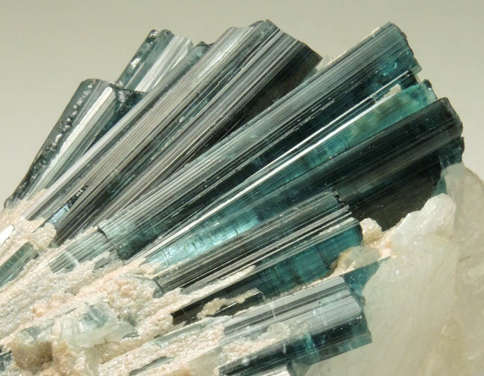 Elbaite var. Indicolite Tourmaline in Albite var. Cleavelandite from Paprok, Kamdesh District, Nuristan Province, Afghanistan