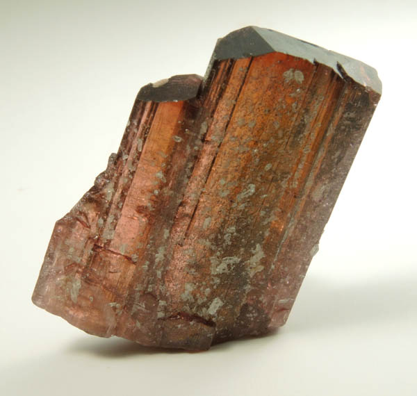 Elbaite var. Rubellite Tourmaline from Mesa Grande District, San Diego County, California