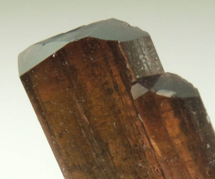 Elbaite var. Rubellite Tourmaline from Mesa Grande District, San Diego County, California