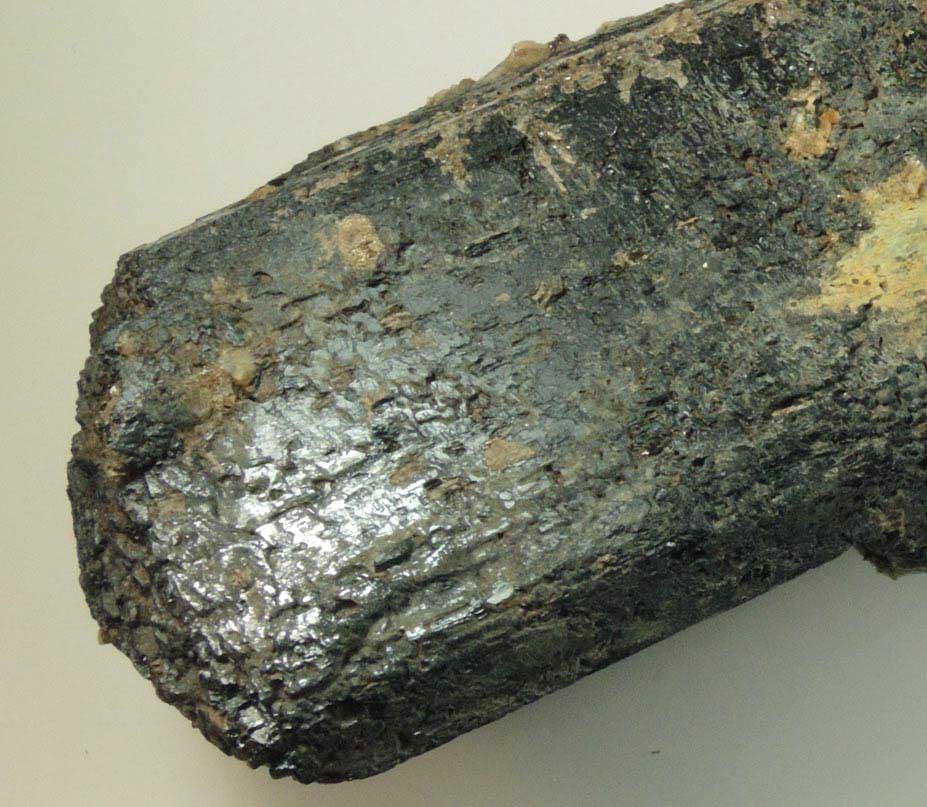 Amphibole (Fluoro-richterite or Ferri-fluoro-katophorite) with Fluorapatite from Tory Hill, Highlands East, Haliburton Co., Ontario, Canada