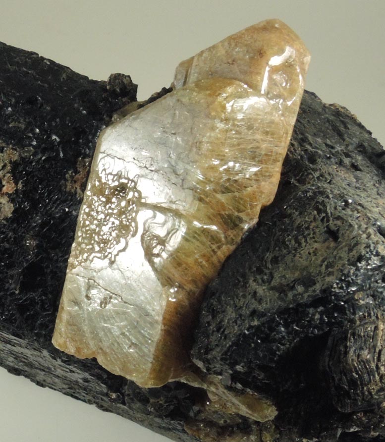Amphibole (Fluoro-richterite or Ferri-fluoro-katophorite) with Fluorapatite from Tory Hill, Highlands East, Haliburton Co., Ontario, Canada