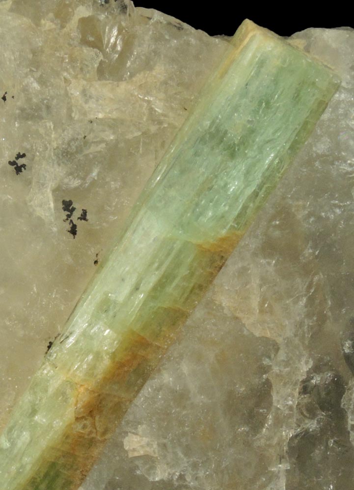 Beryl var. Aquamarine in Quartz from McAllister Prospect, Wiley Mountain, Stow, Oxford County, Maine