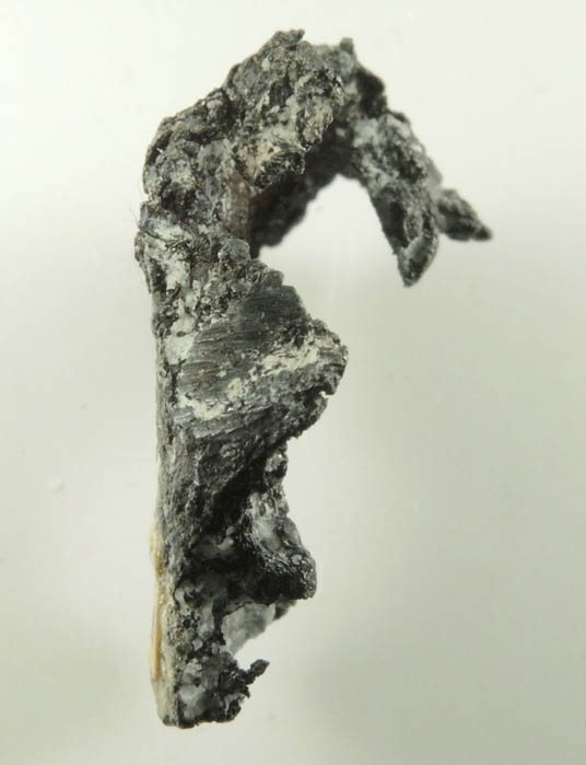 Silver (naturally crystallized native silver) from Cobalt District, Ontario, Canada