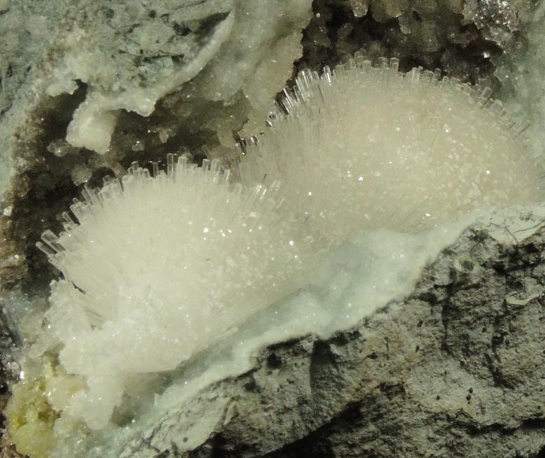 Natrolite on Prehnite from Malad Quarry, Mumbai, Maharashtra, India
