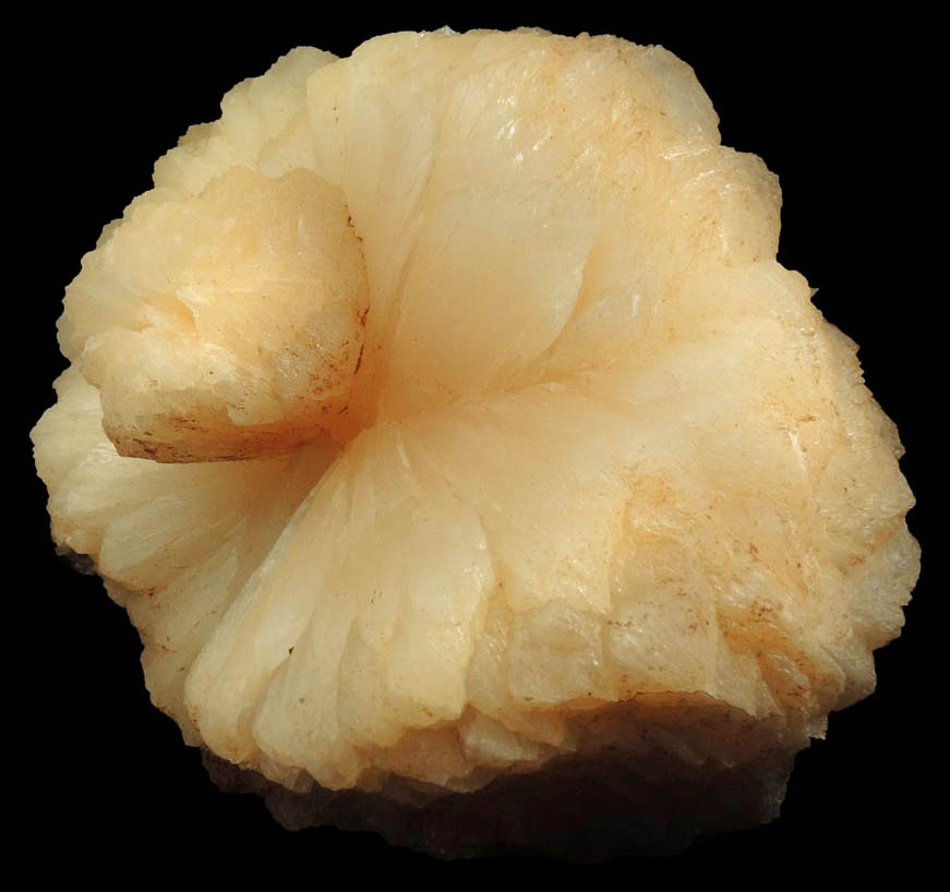 Stilbite (bow-tie-shaped formations) over Heulandite from Aurangabad, Maharashtra, India